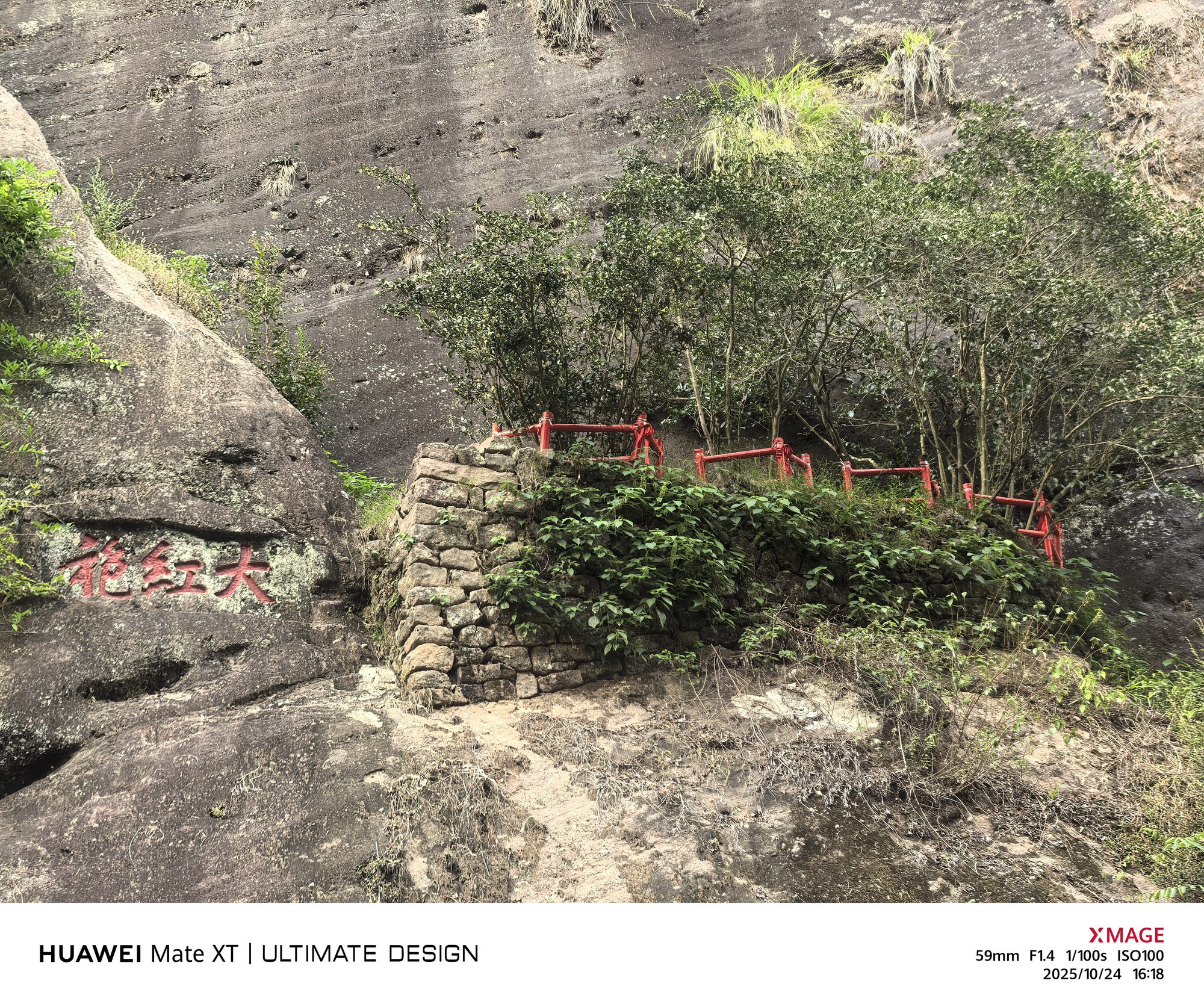 The Da Hong Pao mother trees at Jiulongke: cliff inscription and protective railing