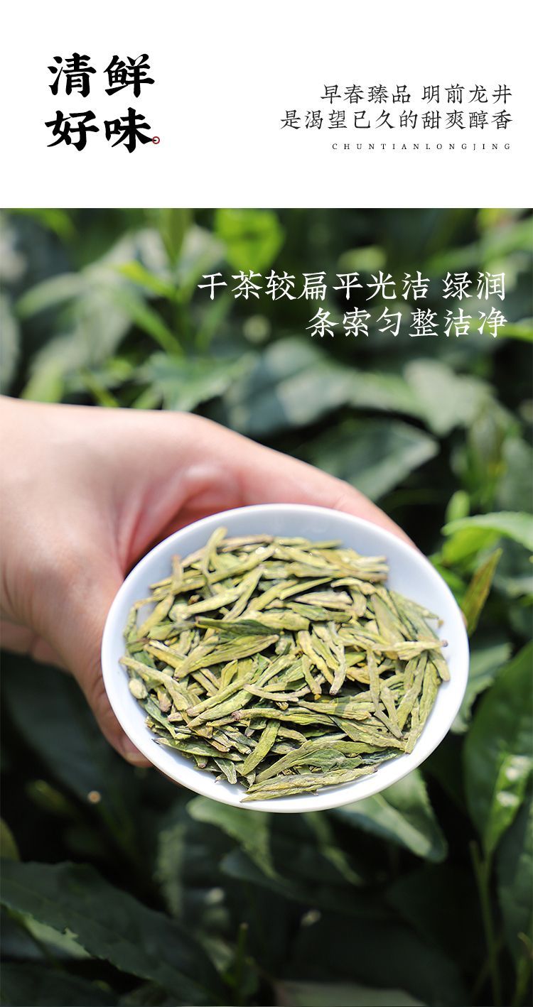 Pre-Qingming Longjing dry leaf in a white porcelain dish, flat, clean, green and even