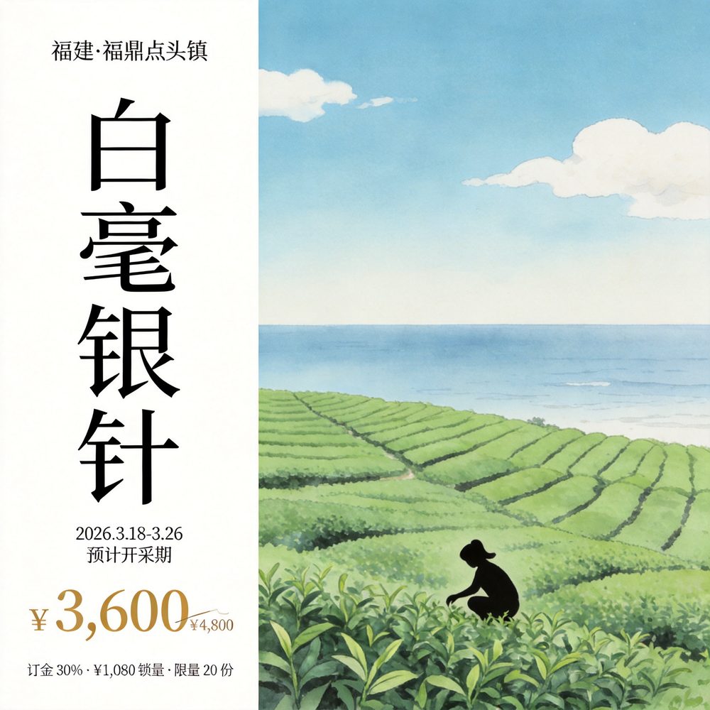 Baihao Yinzhen silver needle, first-pick grade
