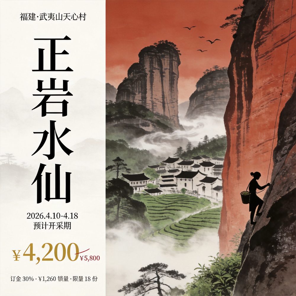 First Pick pre-order | Wuyi Tianxin Village zhengyan Shuixian · First Pick, 500g gift box